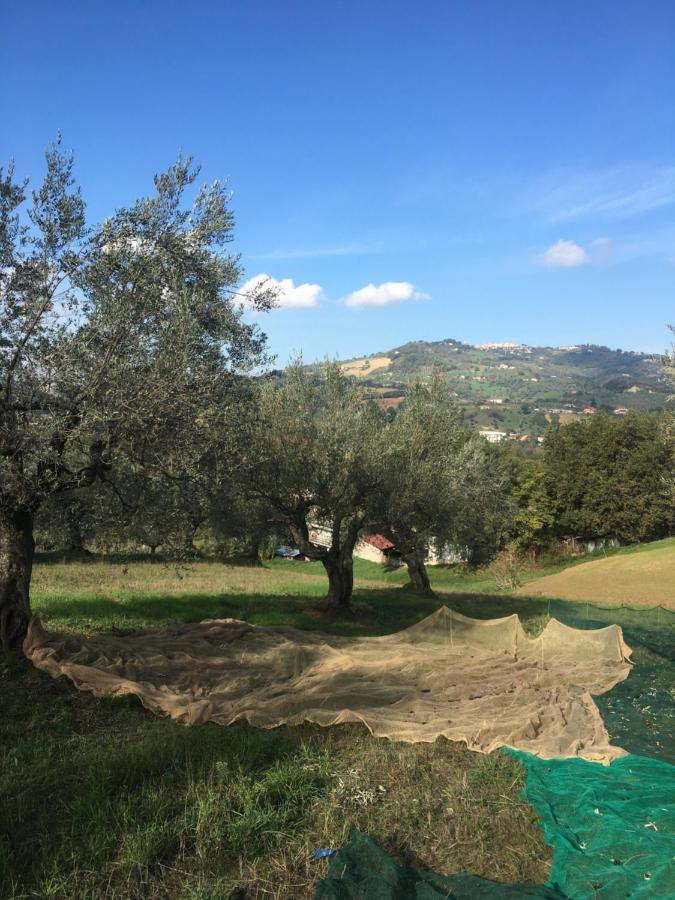 B&B La Casa Di Giuliana Cermignano Экстерьер фото