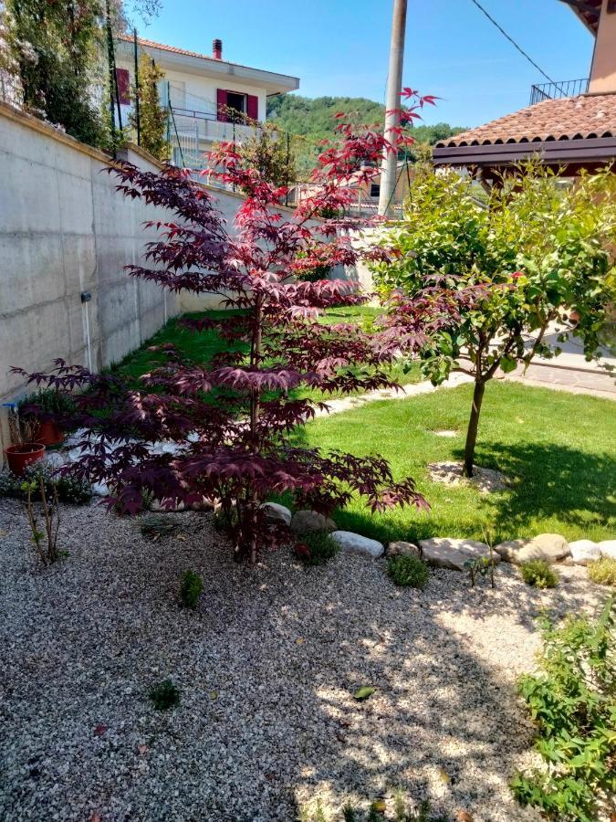 B&B La Casa Di Giuliana Cermignano Экстерьер фото